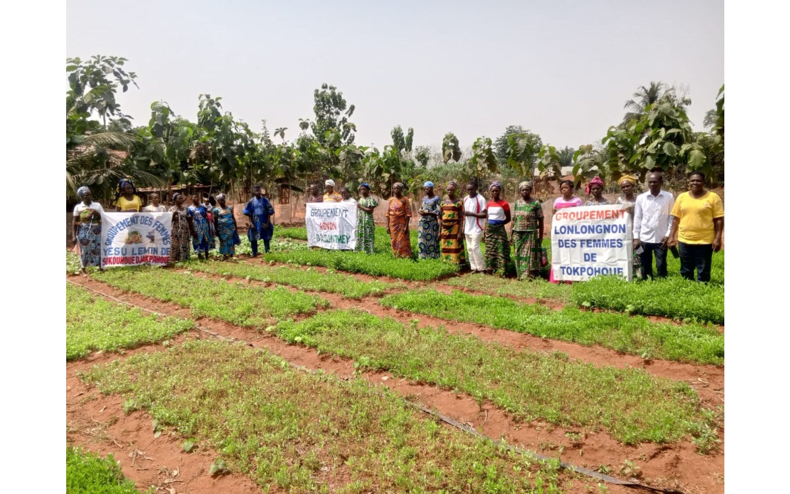 Promotion des Activités Économiques des Femmes Leaders pour une Économie Durable et Inclusive : PAEF-LEDI (PAEF Aya Gou 3)